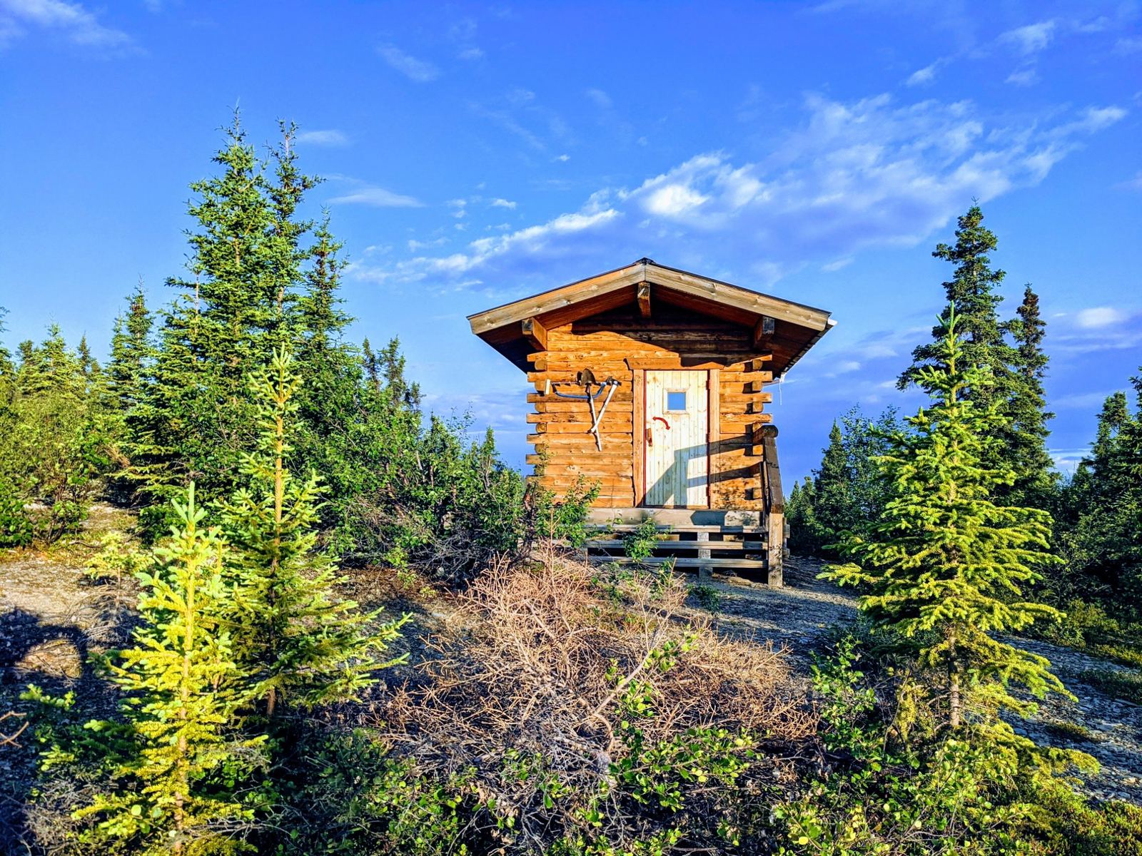7 Best Ways to Experience Alaska Wilderness Without Hiking