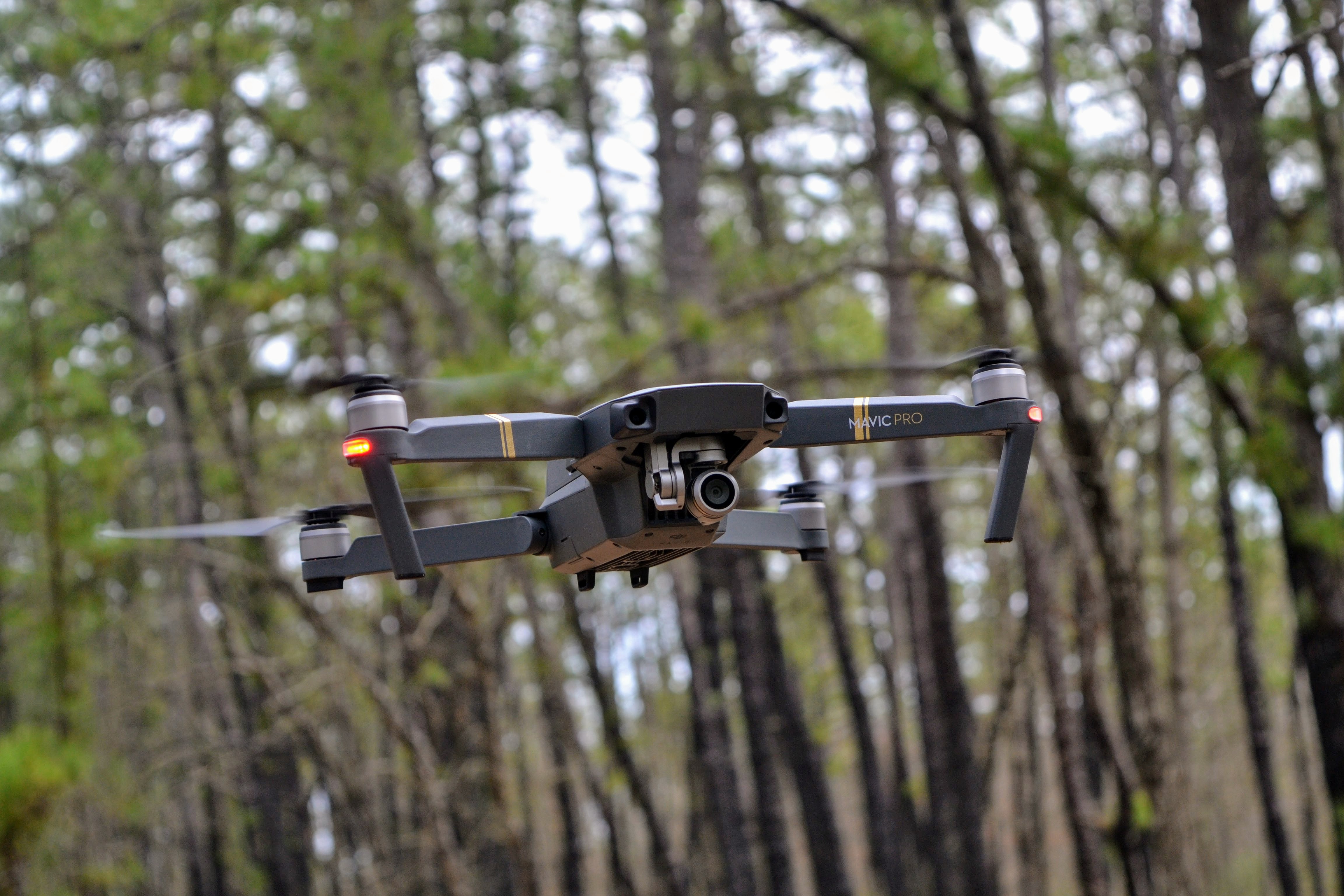 Alaska Drone Rules & Vlogging Guide for Your Ultimate Road Trip