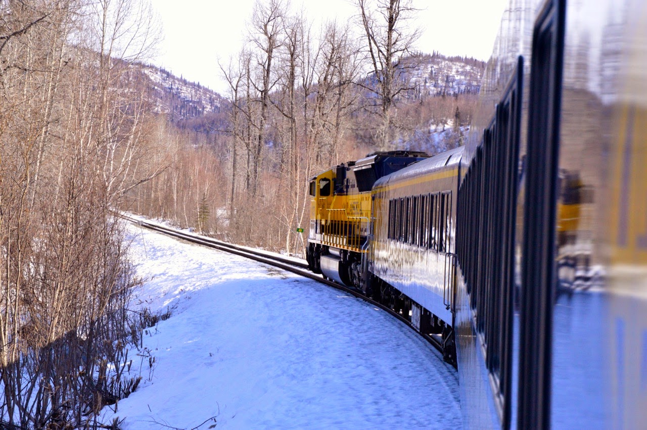 Alaska Train vs Rental Car in 2026: A Practical Guide
