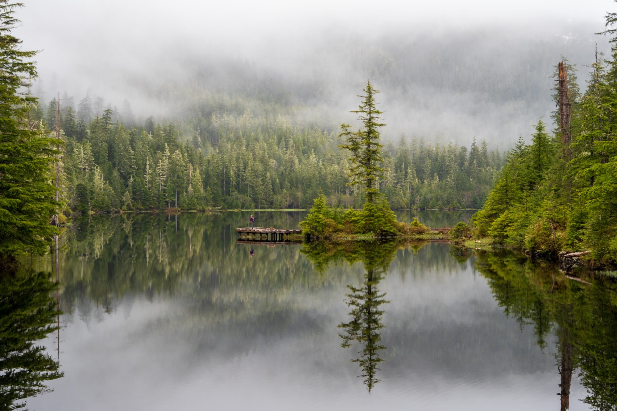 Become an Alaska Road Trip Partner