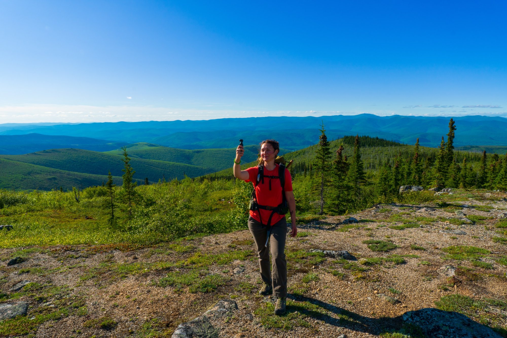 Best Day Hikes in Alaska: Trails Beyond the Viewpoint