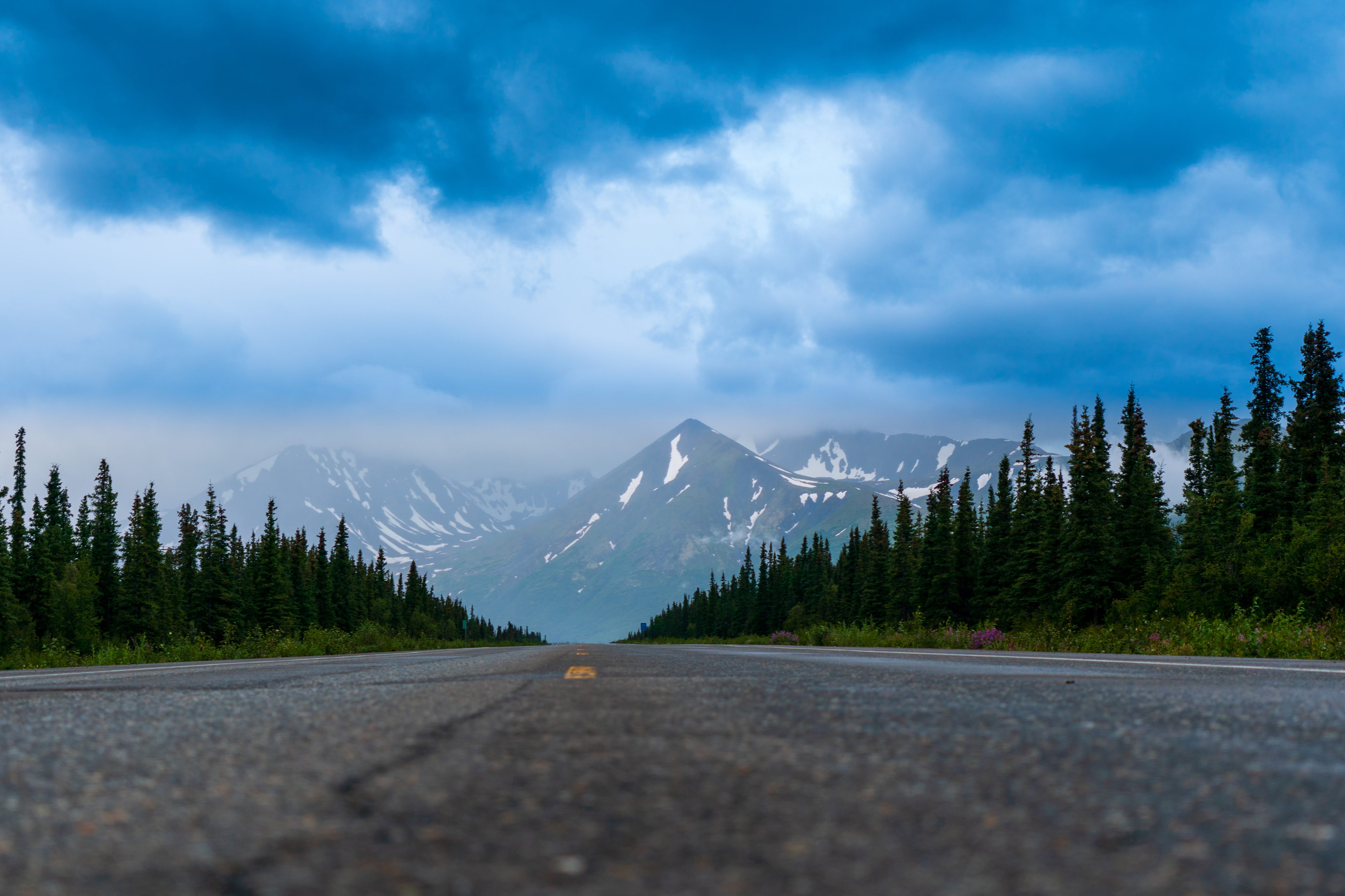 Driving the Alaska Highway (AlCan): Your Essential Guide