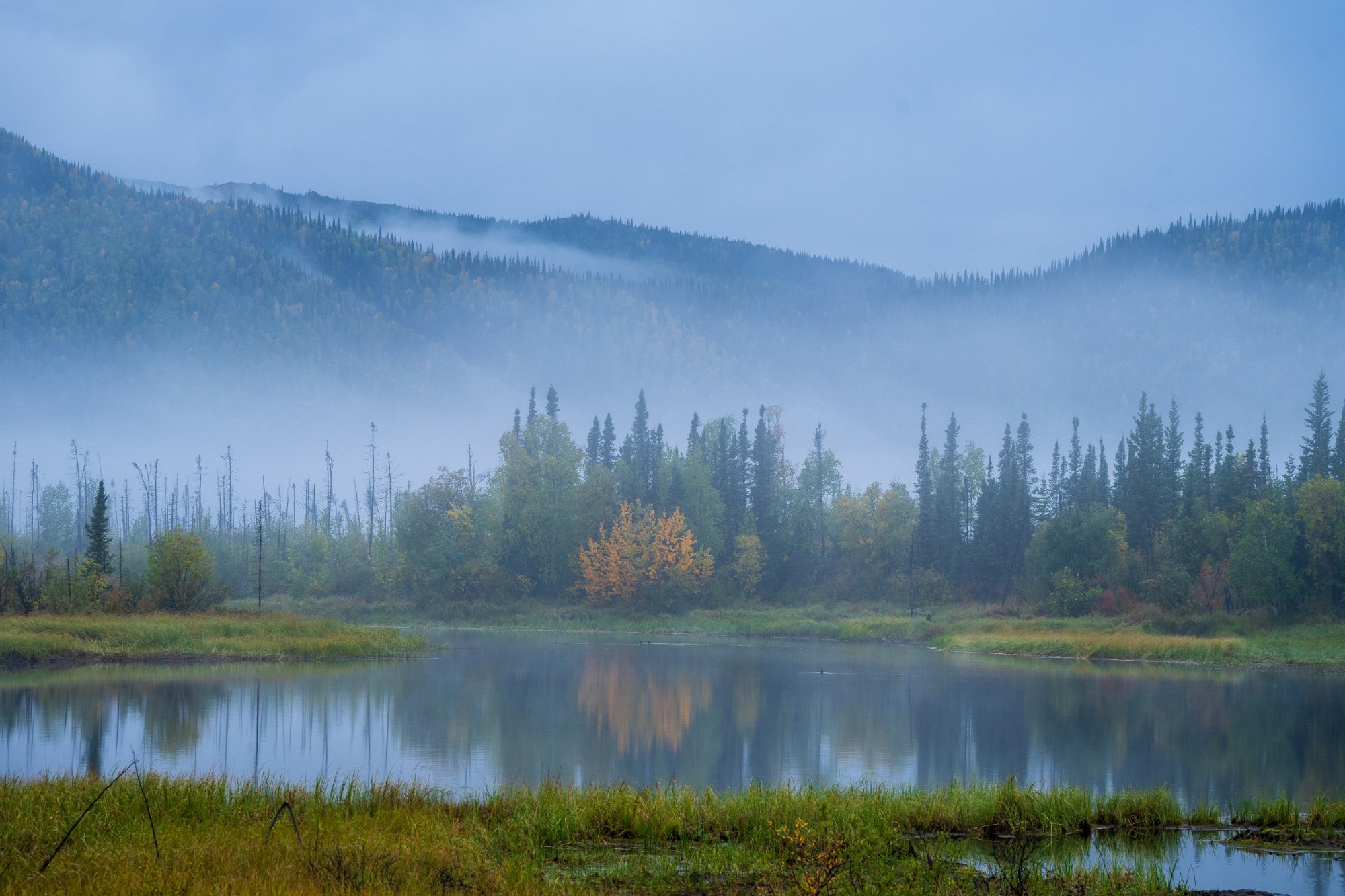 Experience Coldfoot Alaska