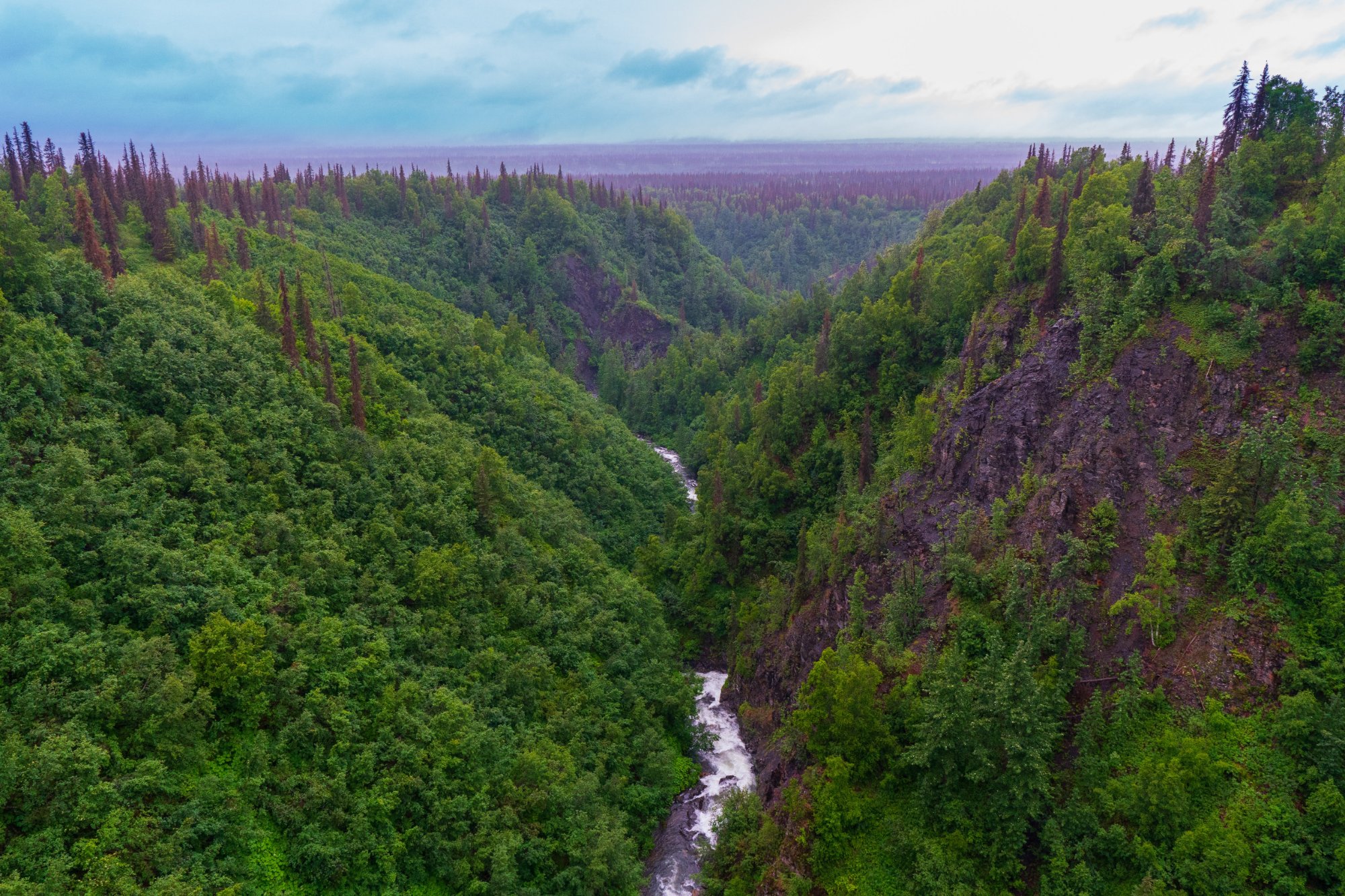 Fairbanks to Denali to Anchorage: Is a One-Way Trip Worth It