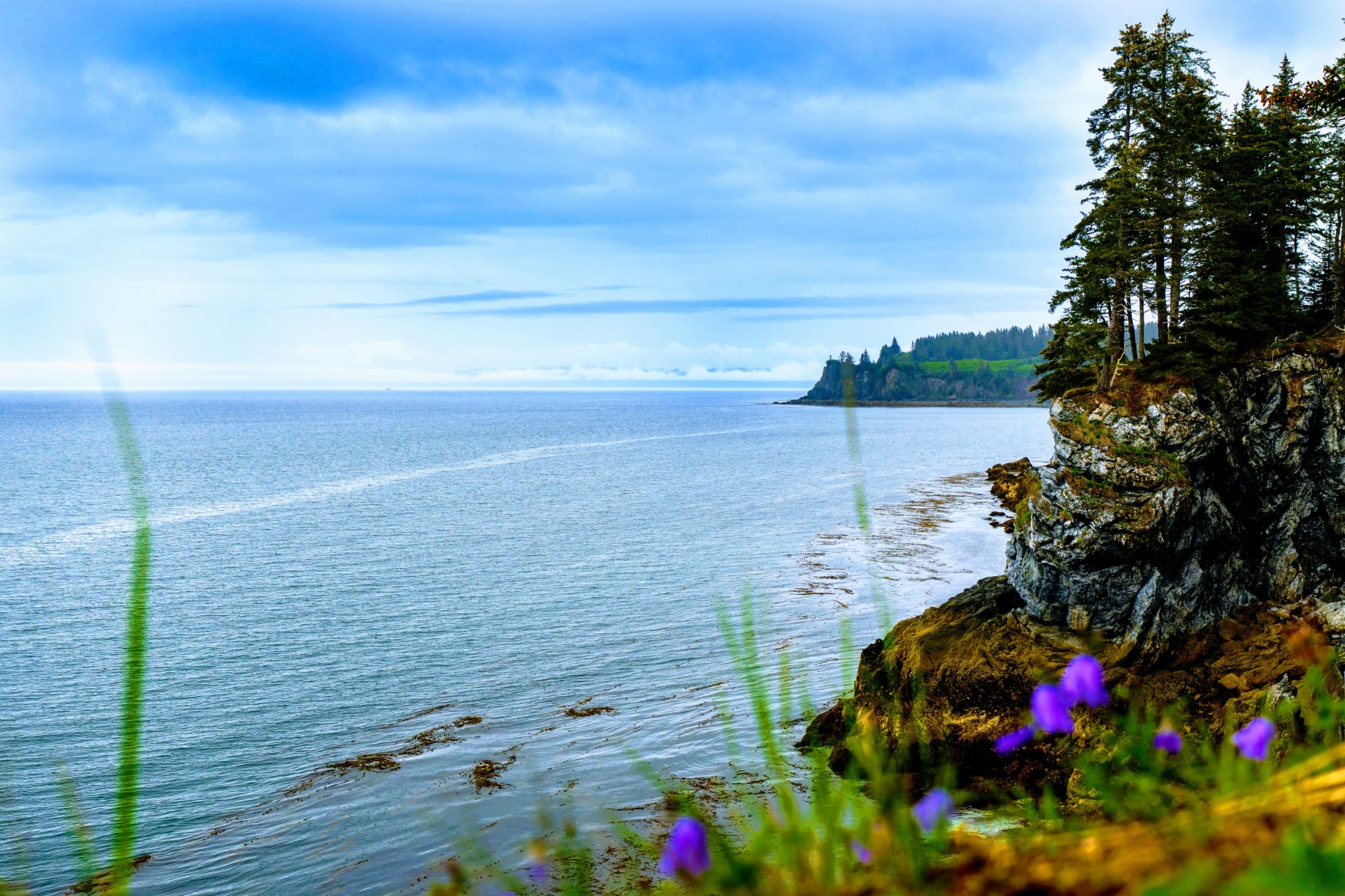 Kenai Peninsula loop in 2026: A Practical Guide