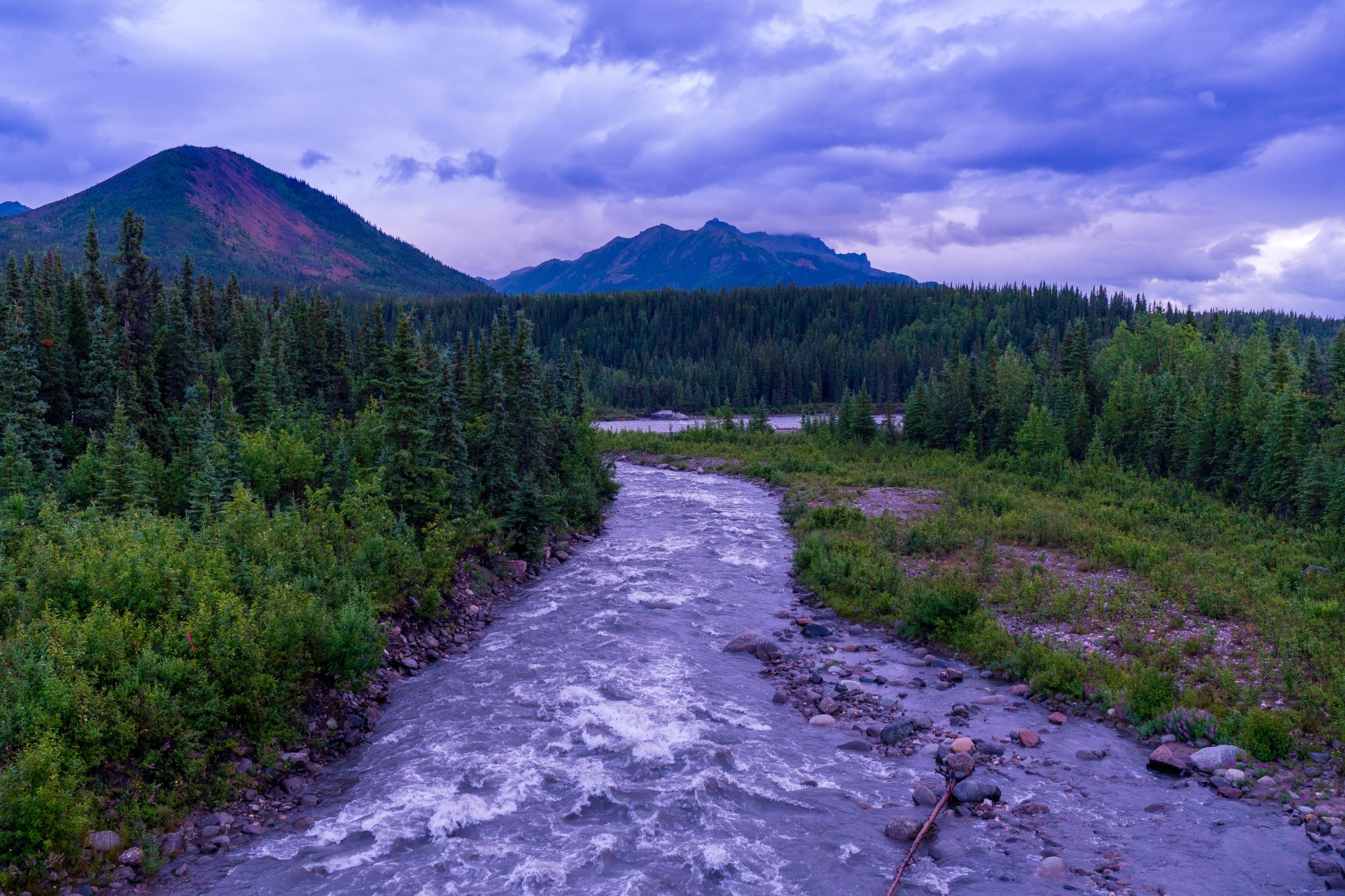 When to Book Alaska Activities: Don't Miss Out on Top Tours