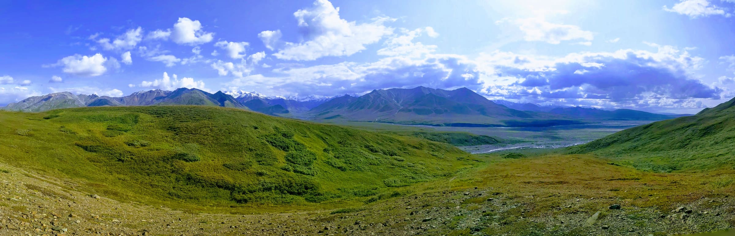 Denali Park Road in 2026 and 2027: What's Actually Open (and What You Need to Plan Around)
