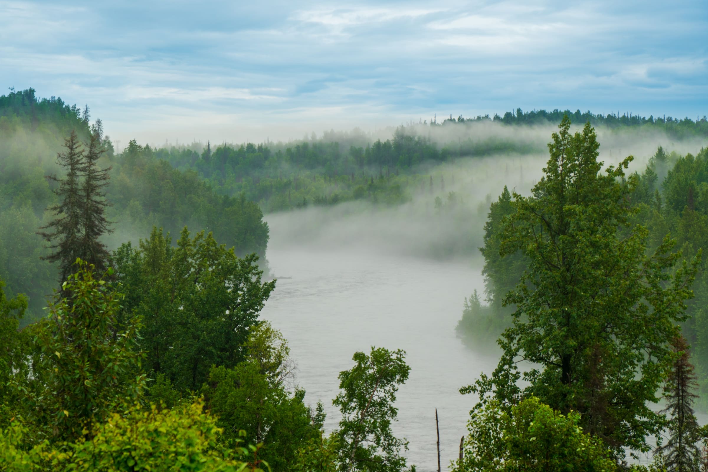 Alaska in Summer: The Complete Guide