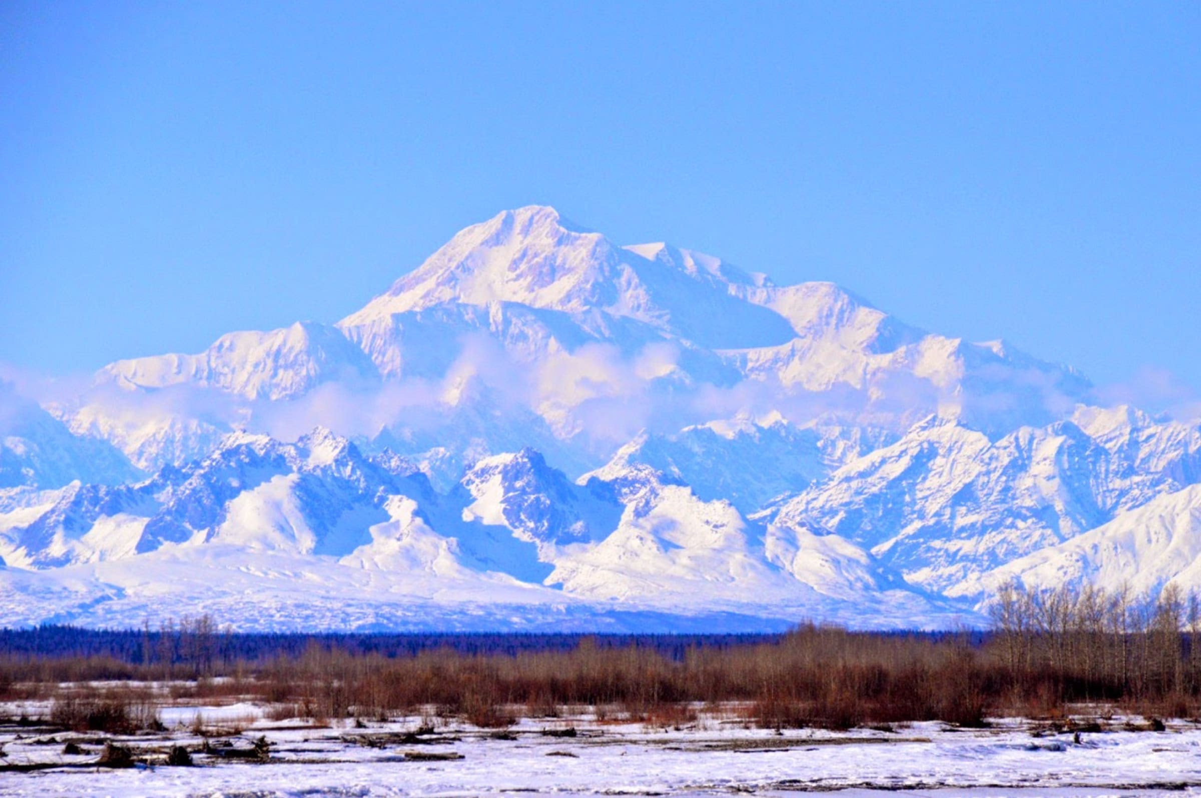 Denali rising above the spruce flats, seen from the Parks Highway
