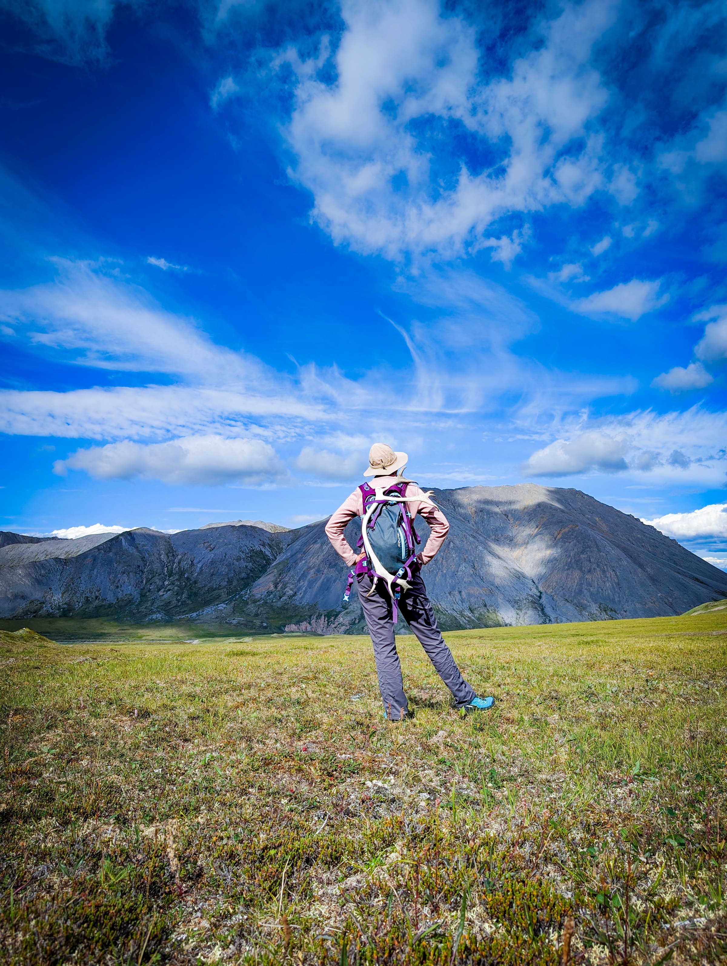Hiker facing Alaska mountains